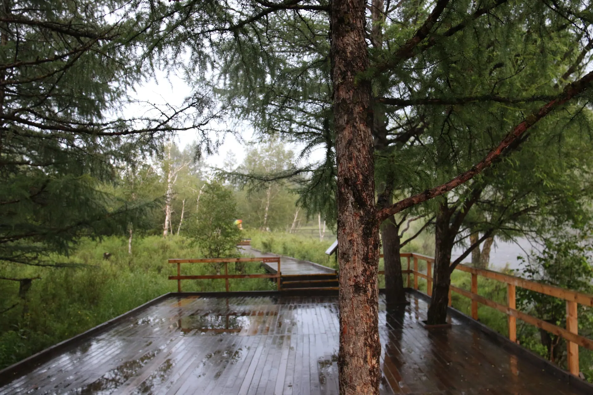 Arxan National Forest Park (阿尔山国家森林公园, Ā'ěr Shān Guójiā Sēnlín Gōngyuán)