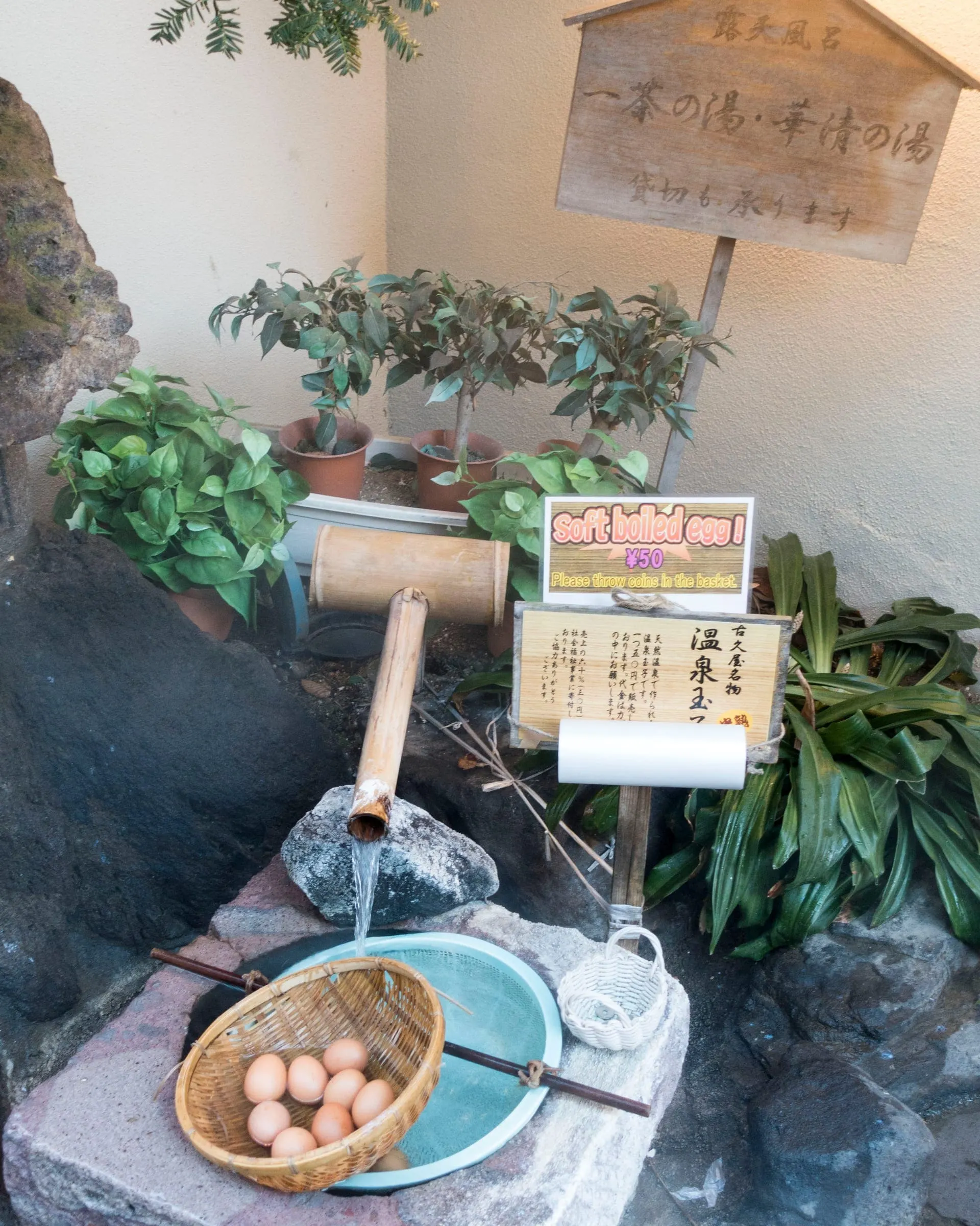 Changbaishan Hot Springs (长白山温泉, Chángbáishān Wēnquán)