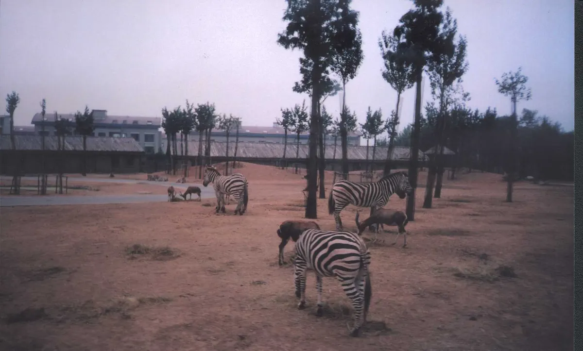 Dalian Forest Zoo (Da Lian Sen Lin Dong Wu Yuan)