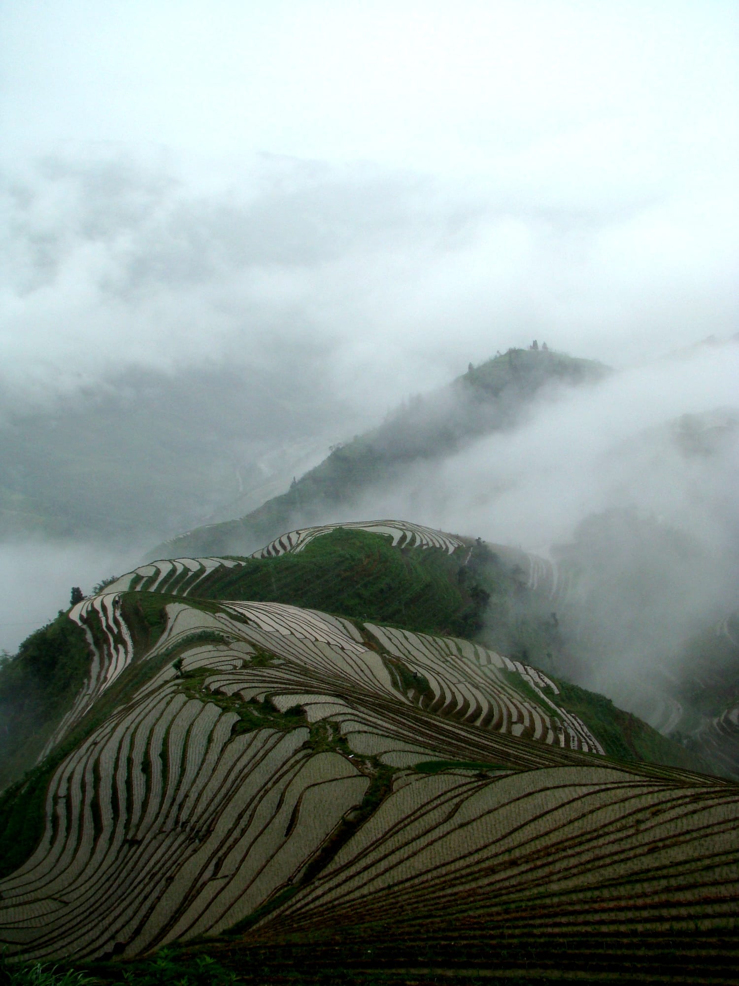 Longji Rice Terraces (Dragon’s Backbone)