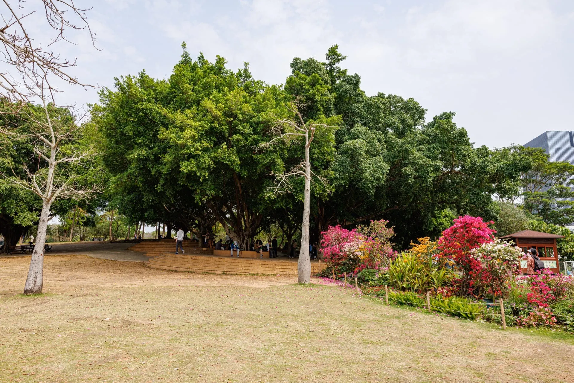 Lianhuashan Park