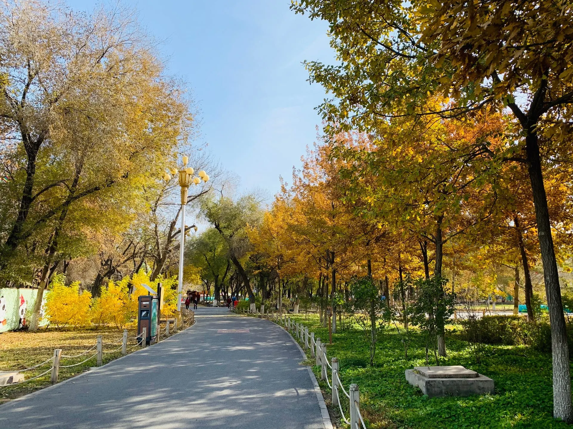 Urumqi Botanical Garden (乌鲁木齐植物园)