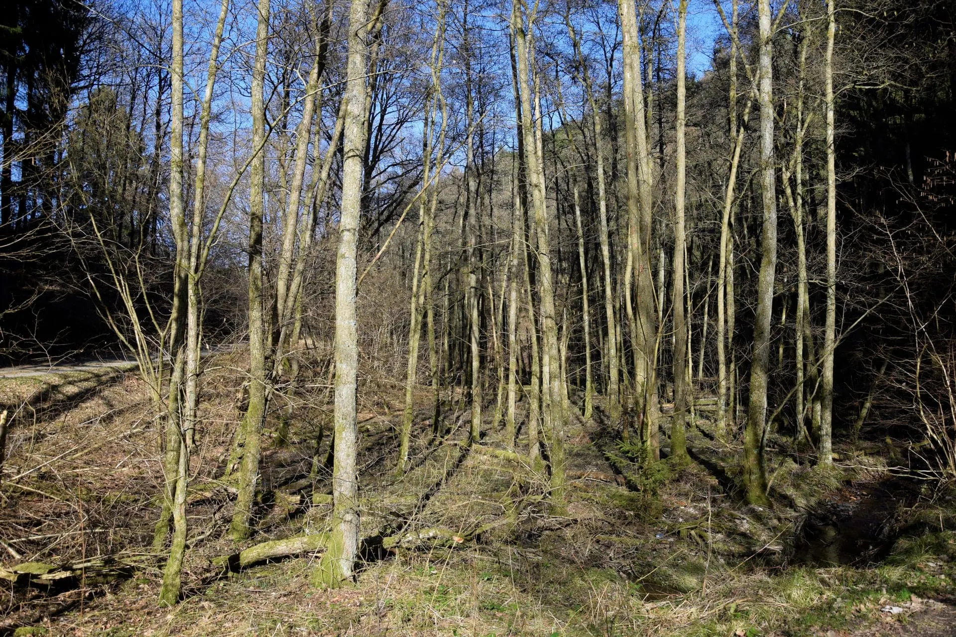 Yaoquan Mountain (药泉山, Yàoquán Shān)