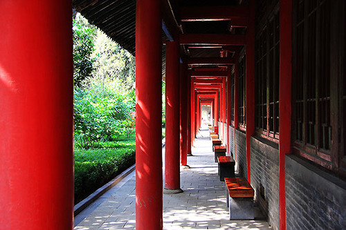 Forest of Steles (碑林博物馆)