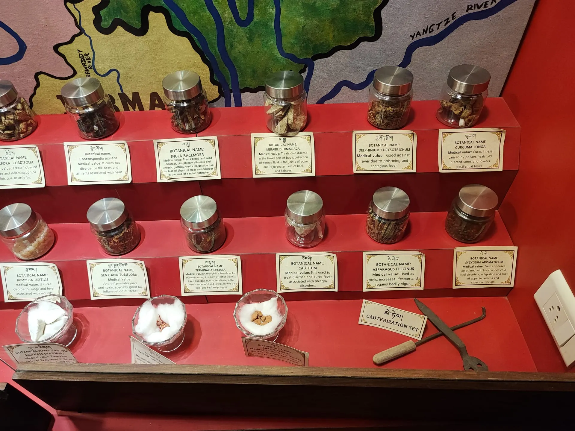 Tibetan Medicine Museum of Qinghai (青海藏医药博物馆)