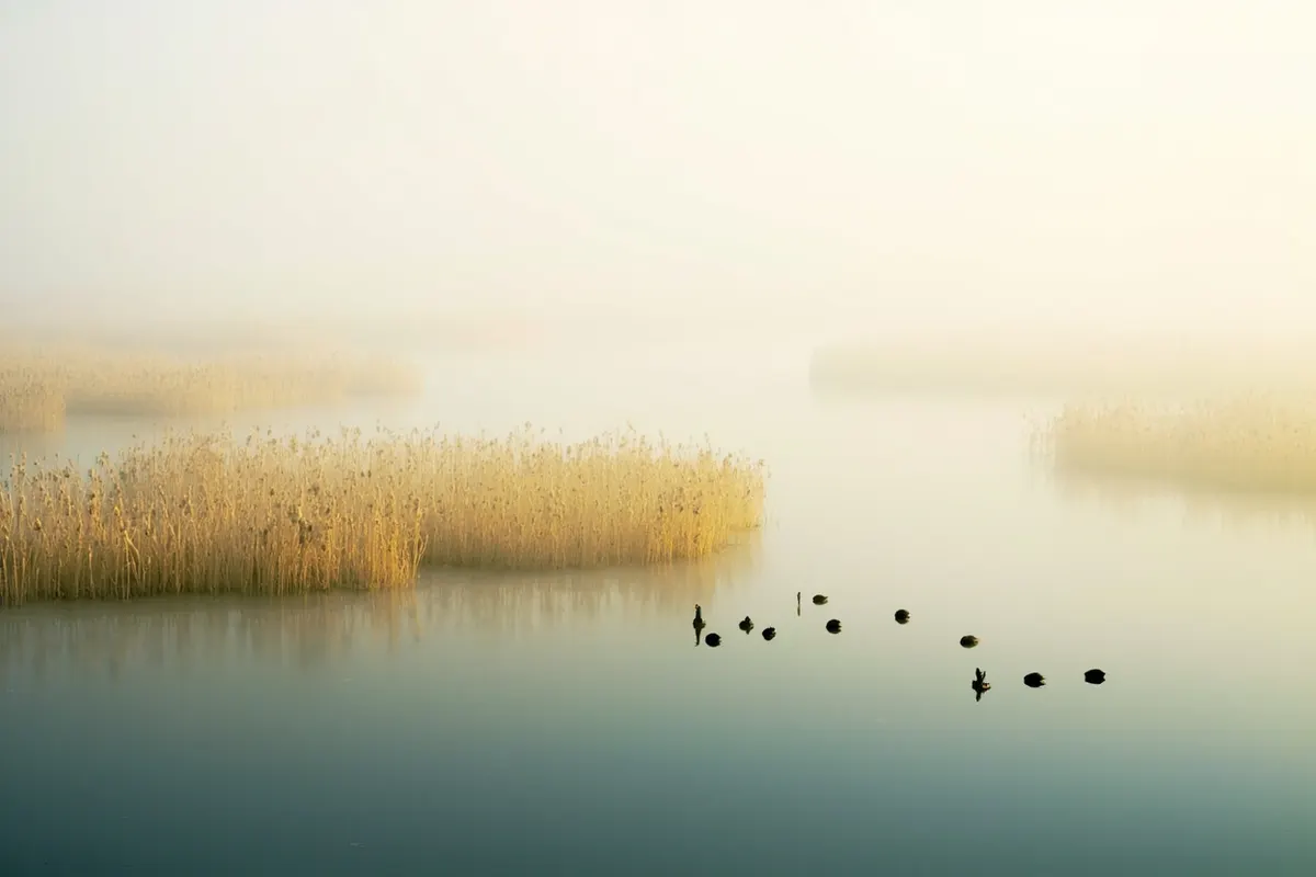 Zhangye National Wetland Park (张掖国家湿地公园)