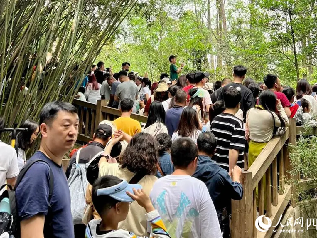 Chengdu Research Base of Giant Panda Breeding