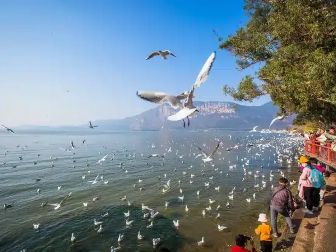 Dianchi Lake