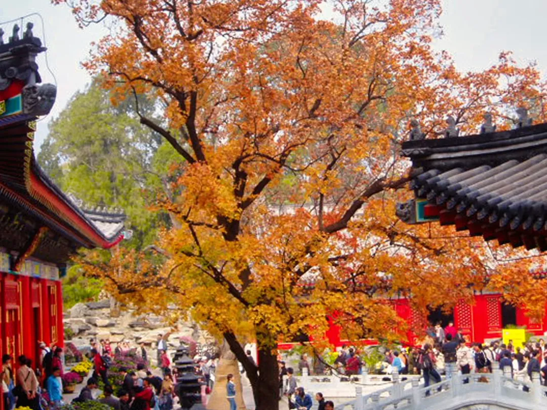Fragrant Hills Park