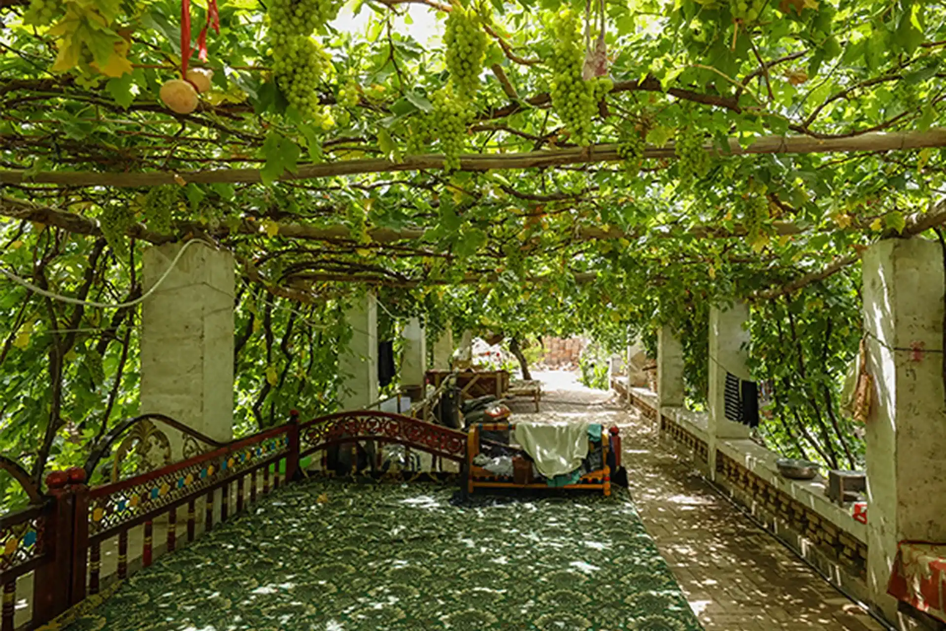 Grape Valley