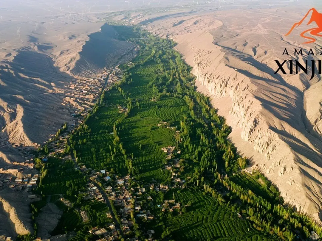 Grape Valley