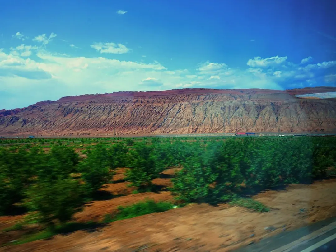 Grape Valley