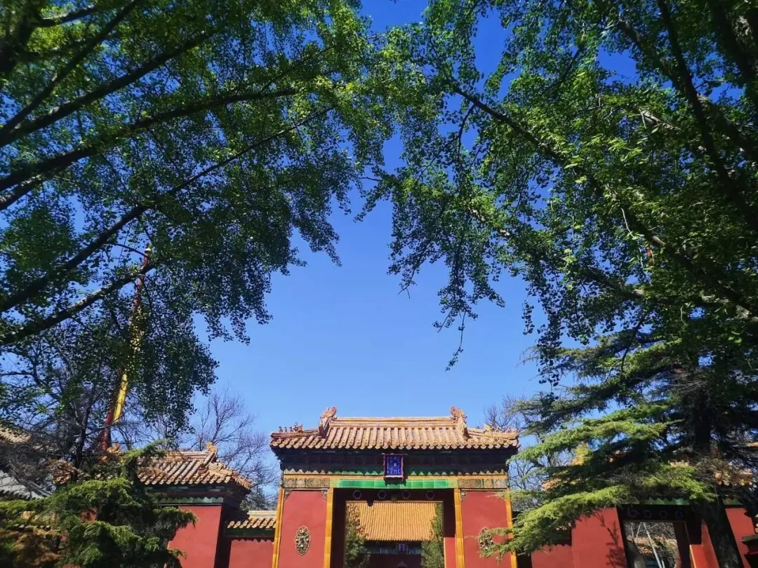 Yonghe Temple (Lama Temple)
