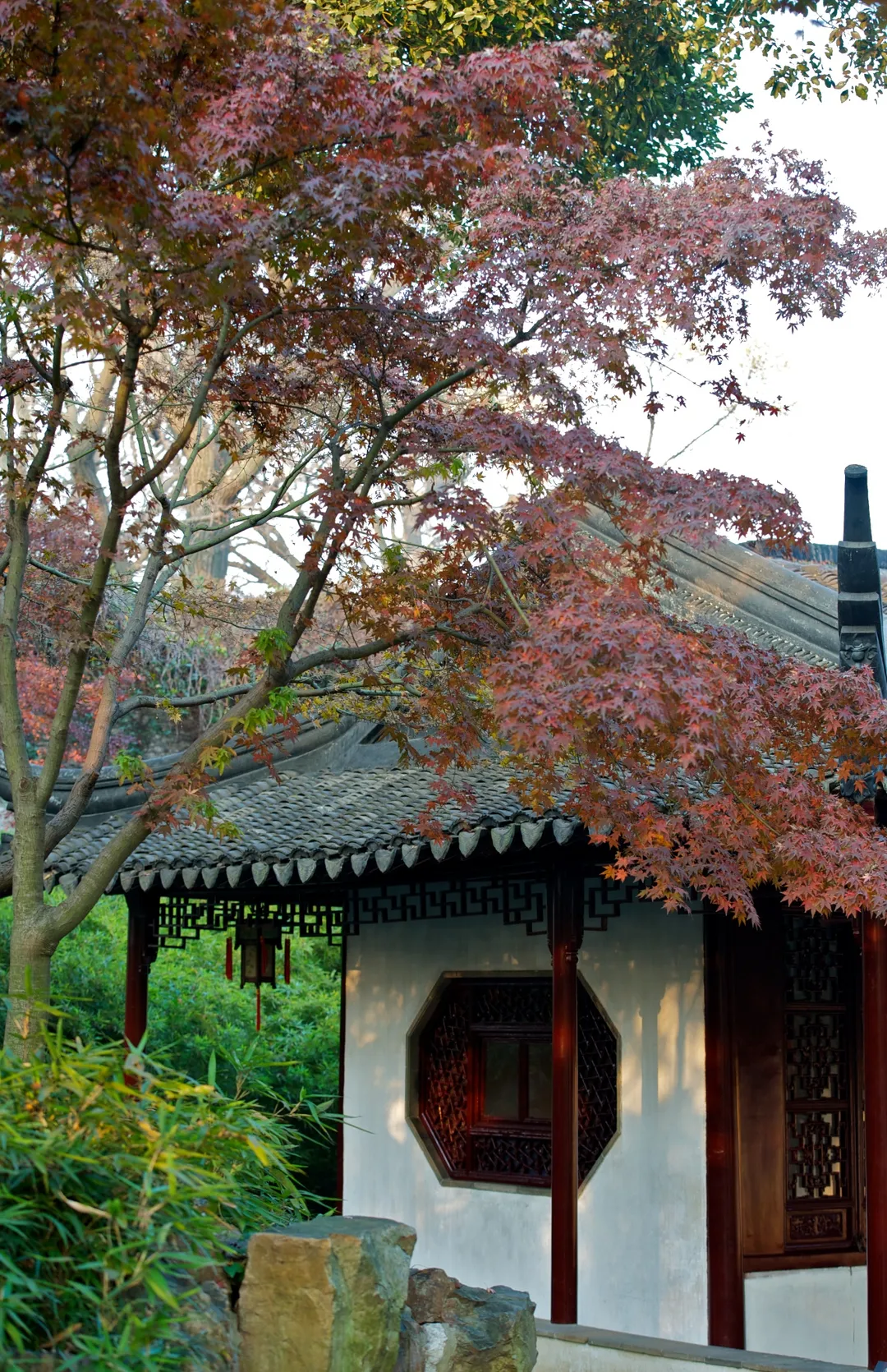Lingering Garden
