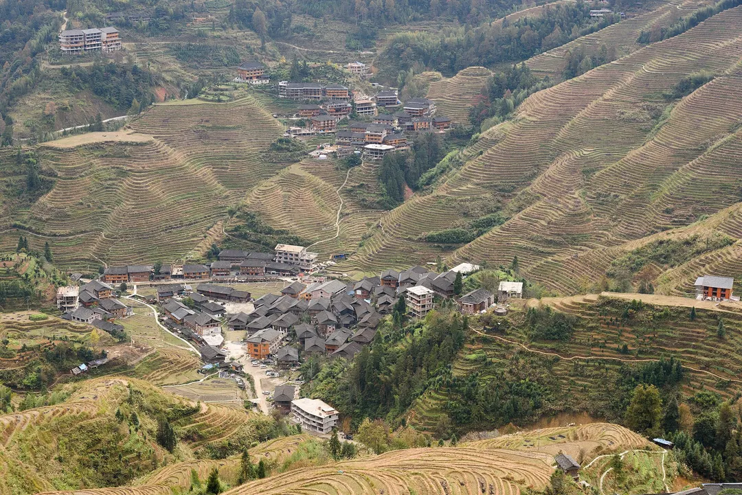 龙脊梯田