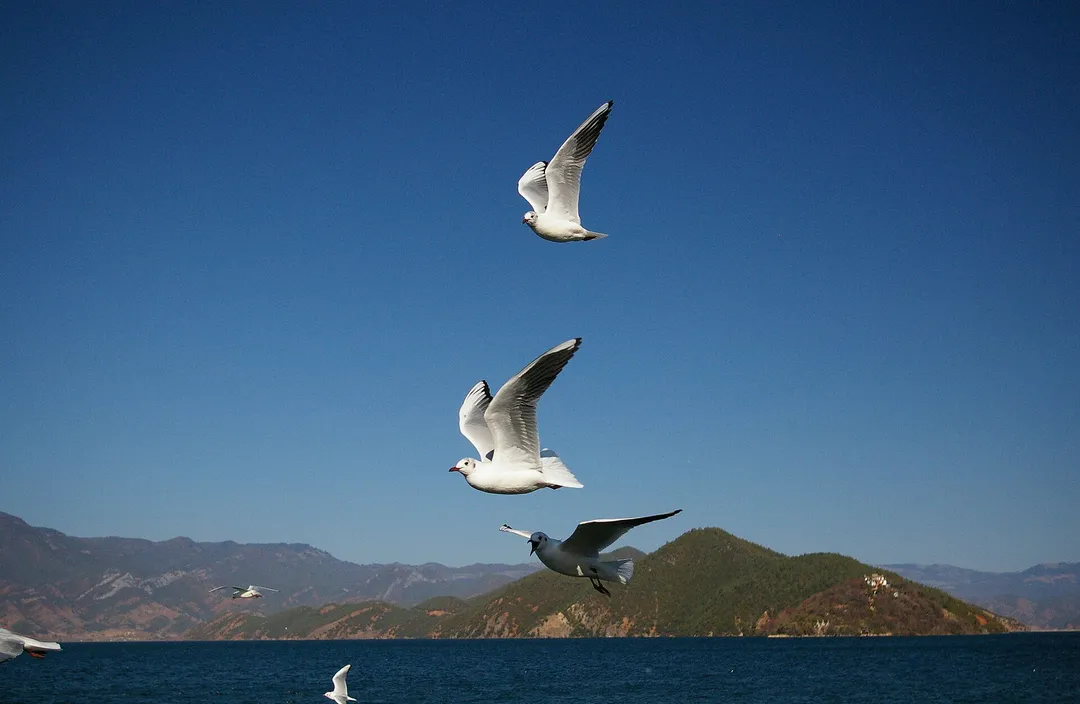 泸沽湖