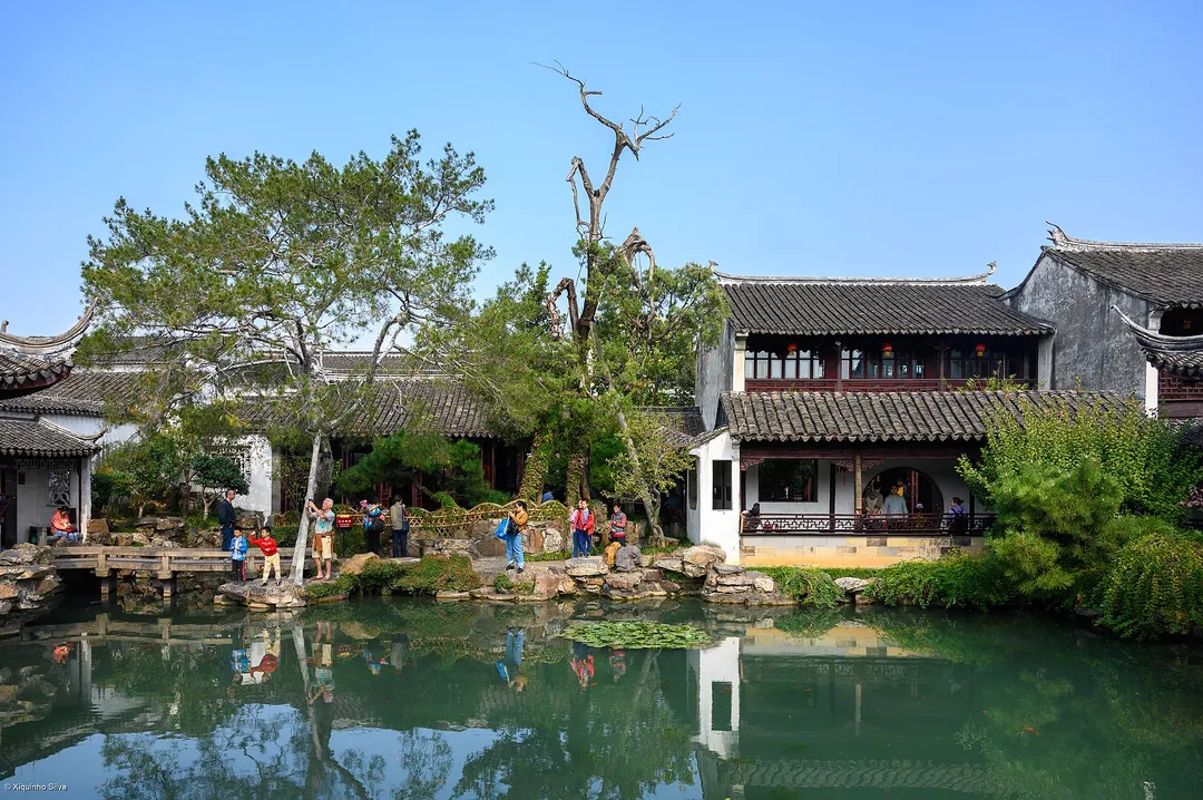 Master of Nets Garden