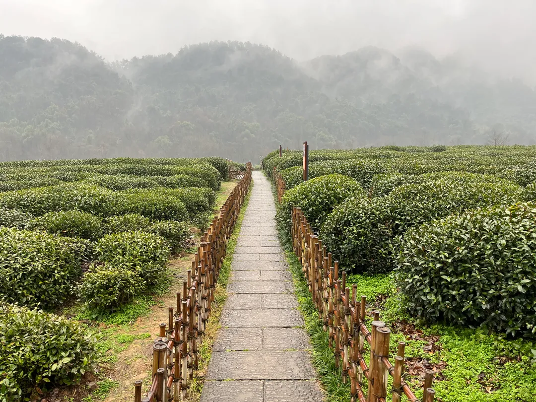 Meiling Tunnel Trail