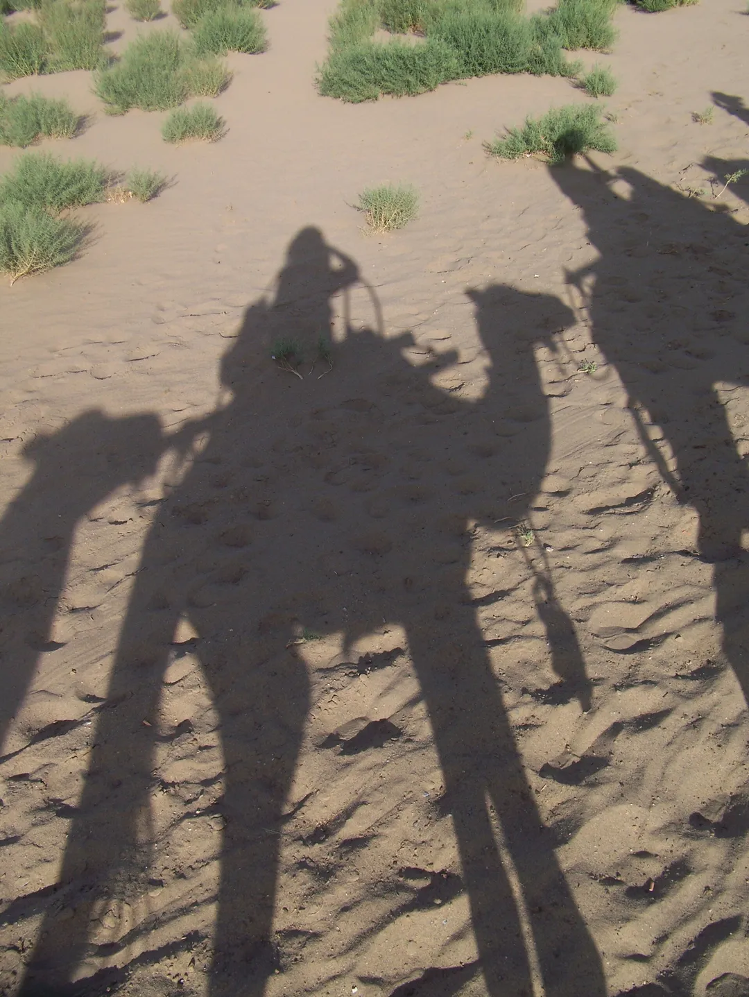 Mingsha Sand Dunes & Crescent Moon Lake