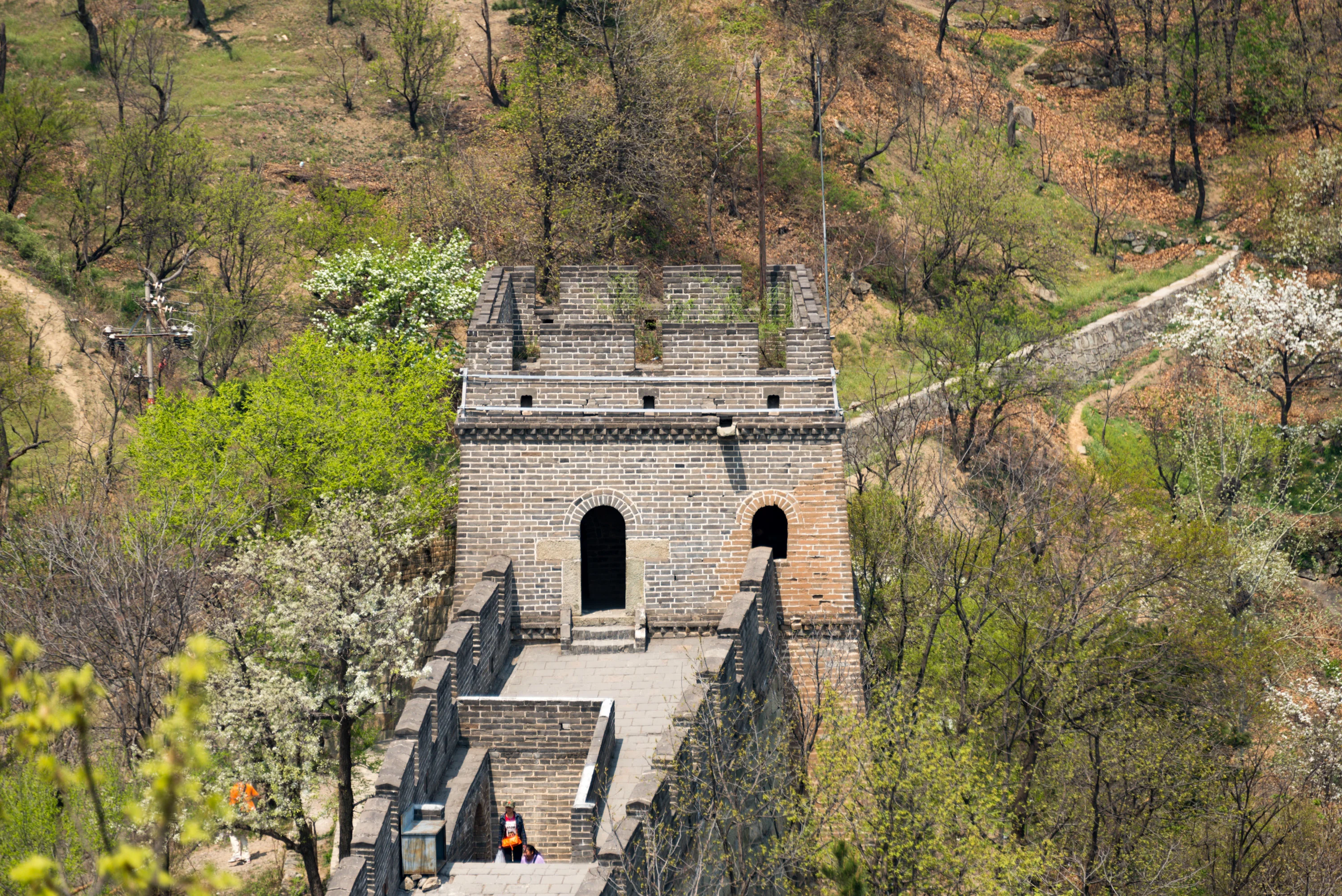 Hikers on the restored Mutianyu wall above the tree line