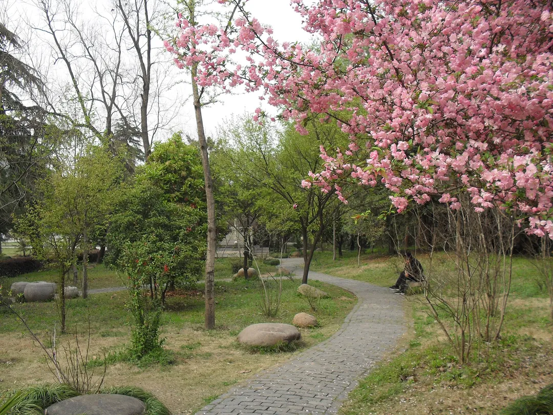 南京博物院