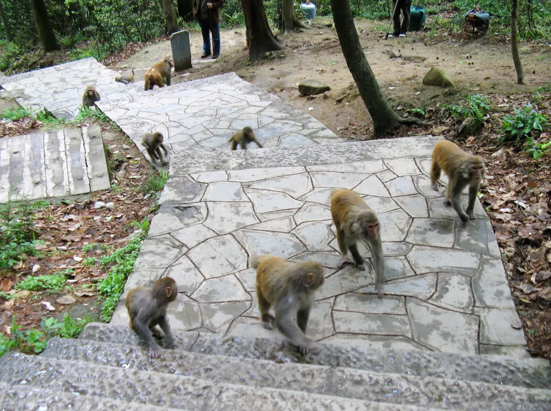 Qianling Mountain Park