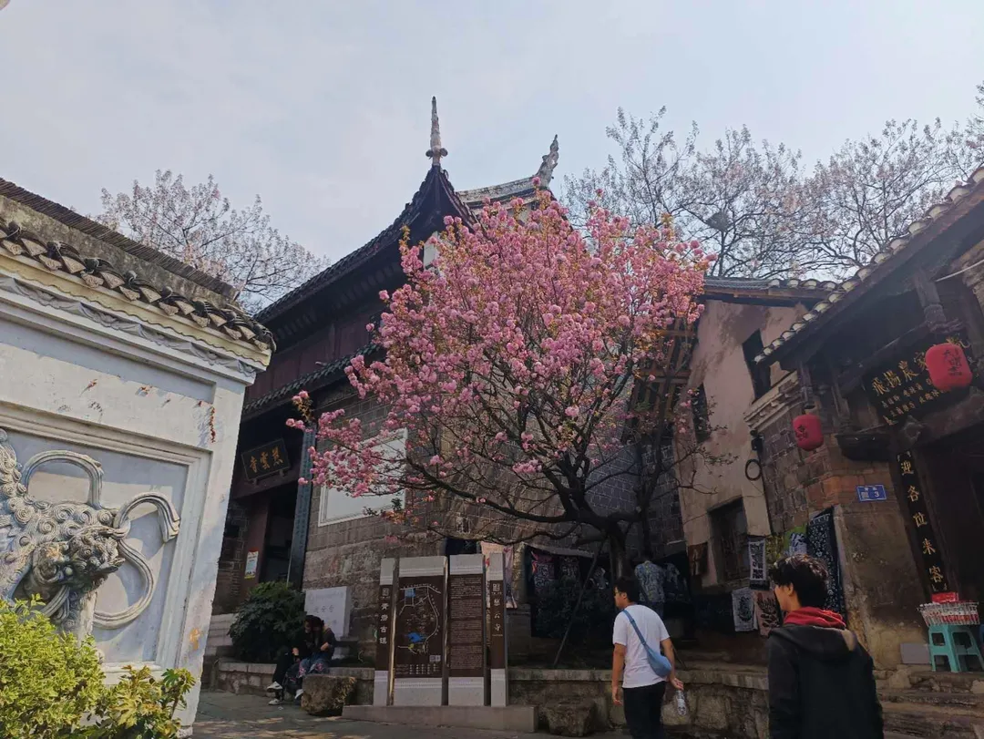 Qingyan Ancient Town