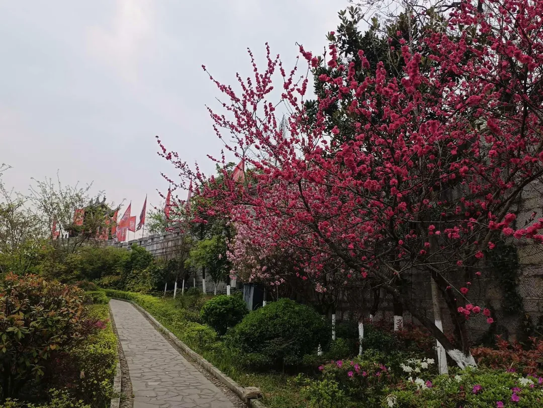 Qingyan Ancient Town