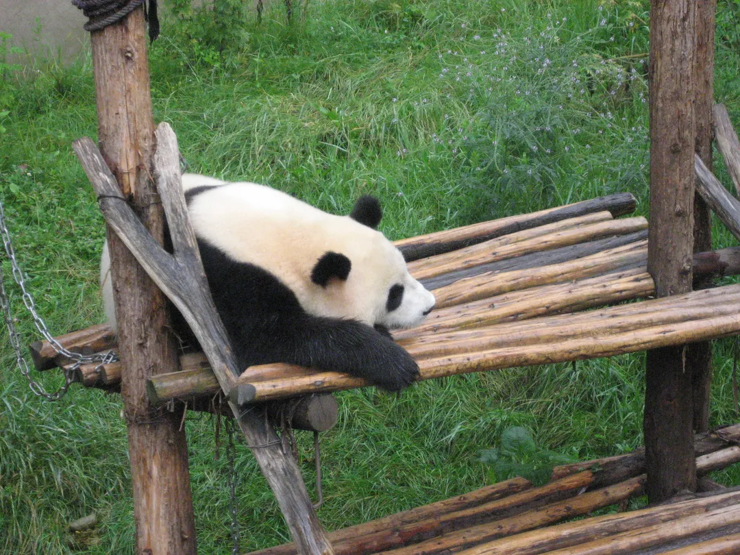 Shenzhen Safari Park