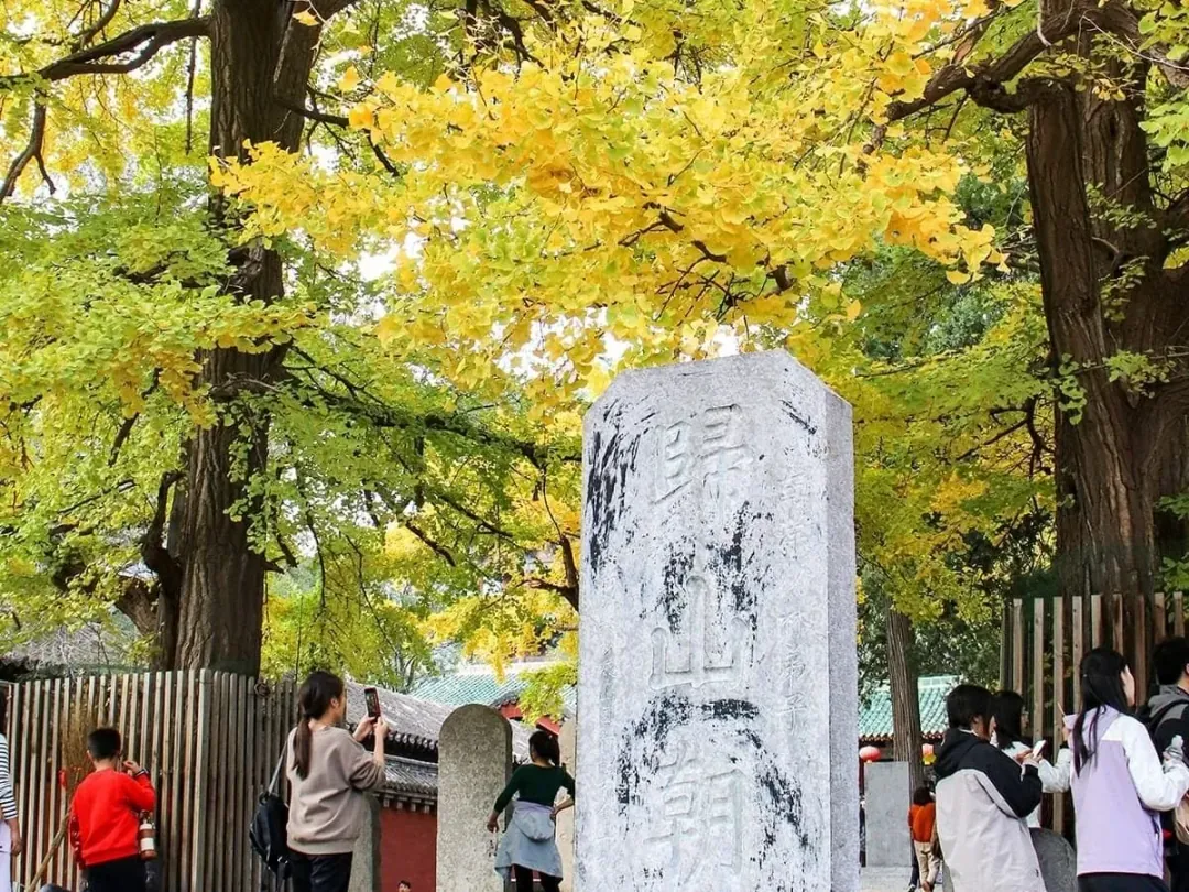 Shaolin Temple