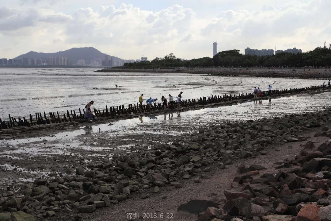深圳湾公园
