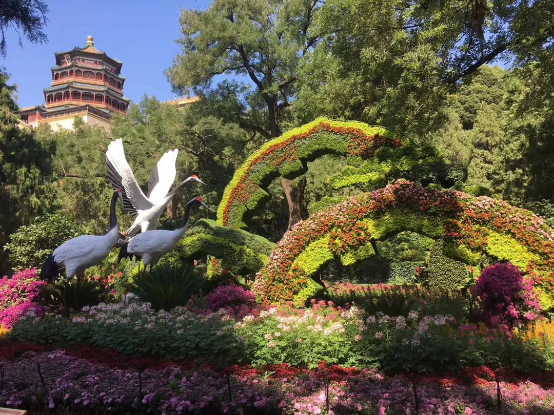Summer Palace