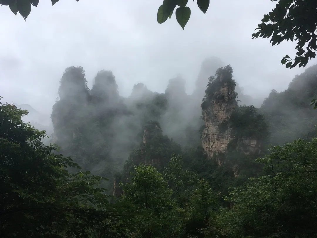 Tianzi Mountain (Emperor Mountain)