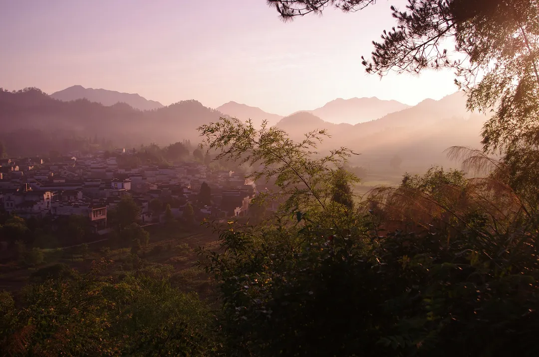 시디