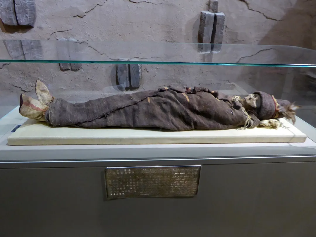 Xinjiang Regional Museum