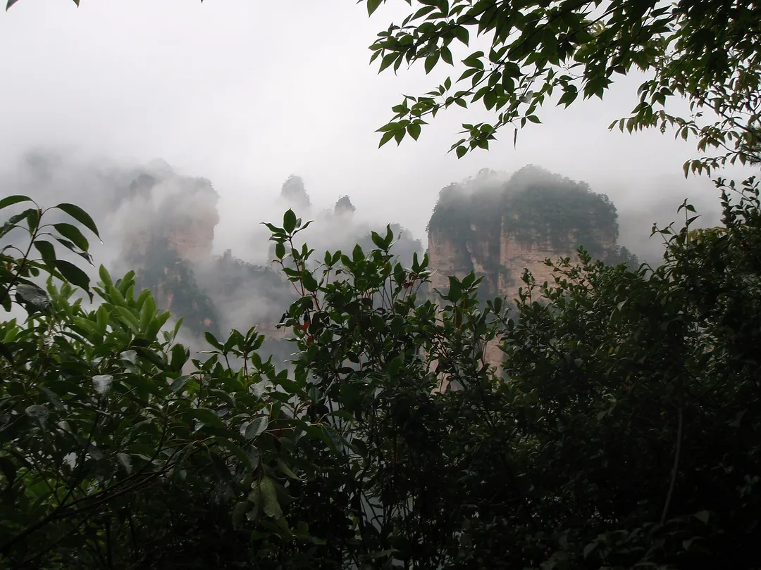 Yangjiajie (Yuanjiajie)