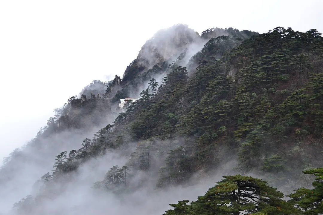 Yellow Mountain (Huangshan), Huangshan