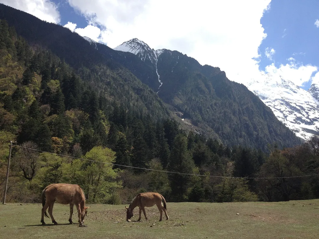 Yubeng Village