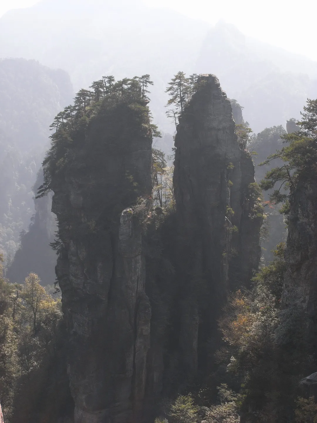 Zhangjiajie National Forest Park (Wulingyuan)
