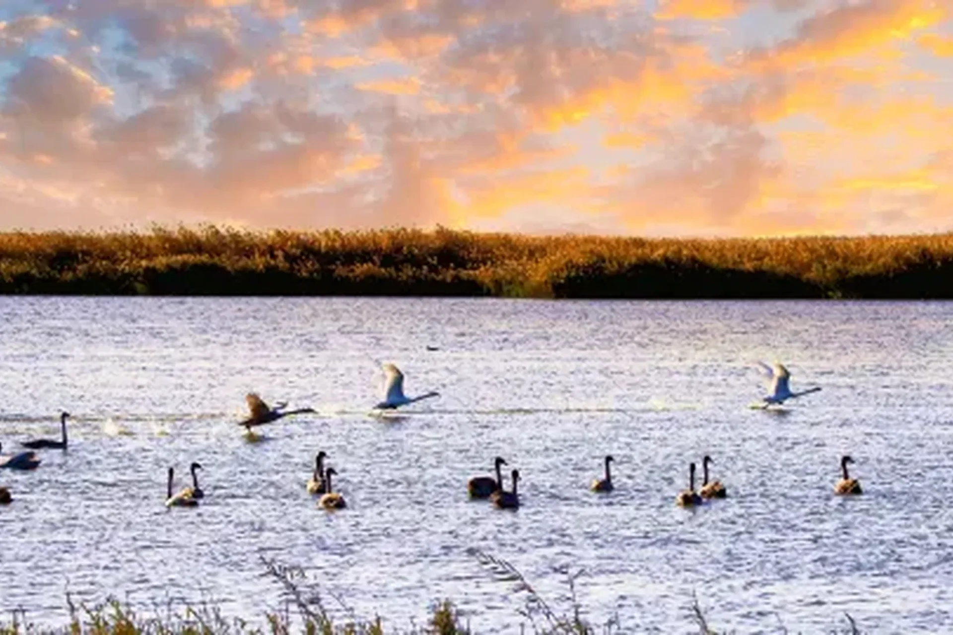 Bayannur — China travel