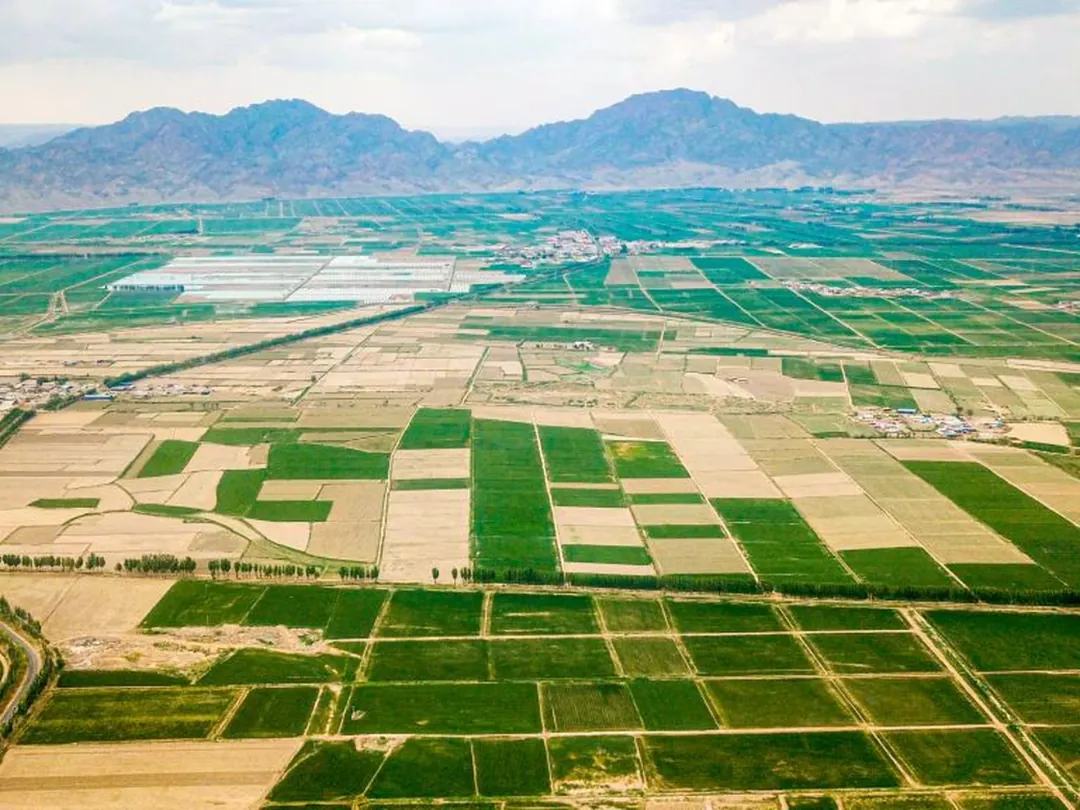 Scenes from Bayannur, China