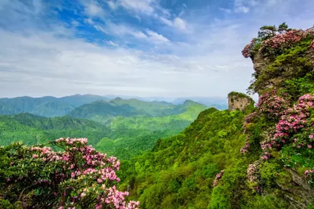 bazhong