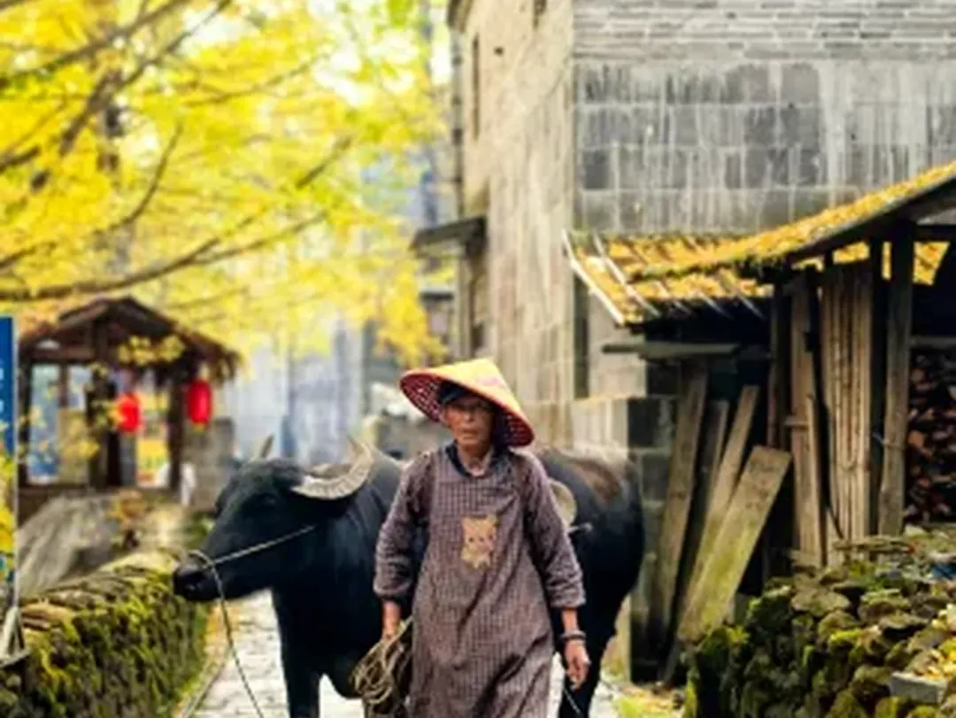 Scenes from Bengbu, China