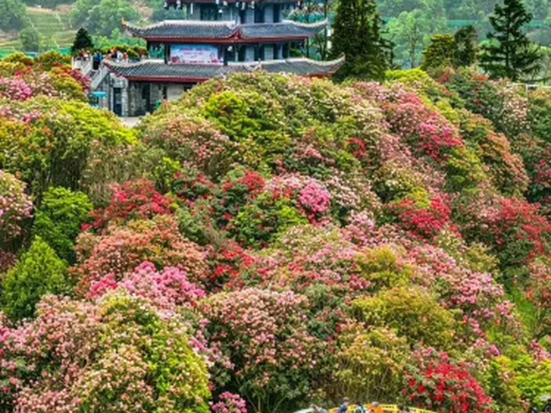 Scenes from Bijie, China