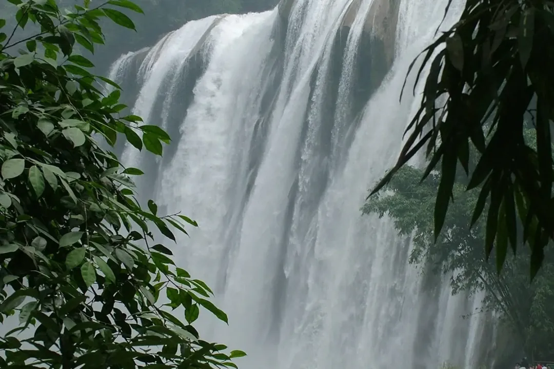 The main curtain of Huangguoshu Waterfall seen through dense foliage