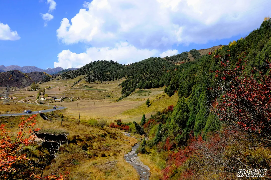 haidong