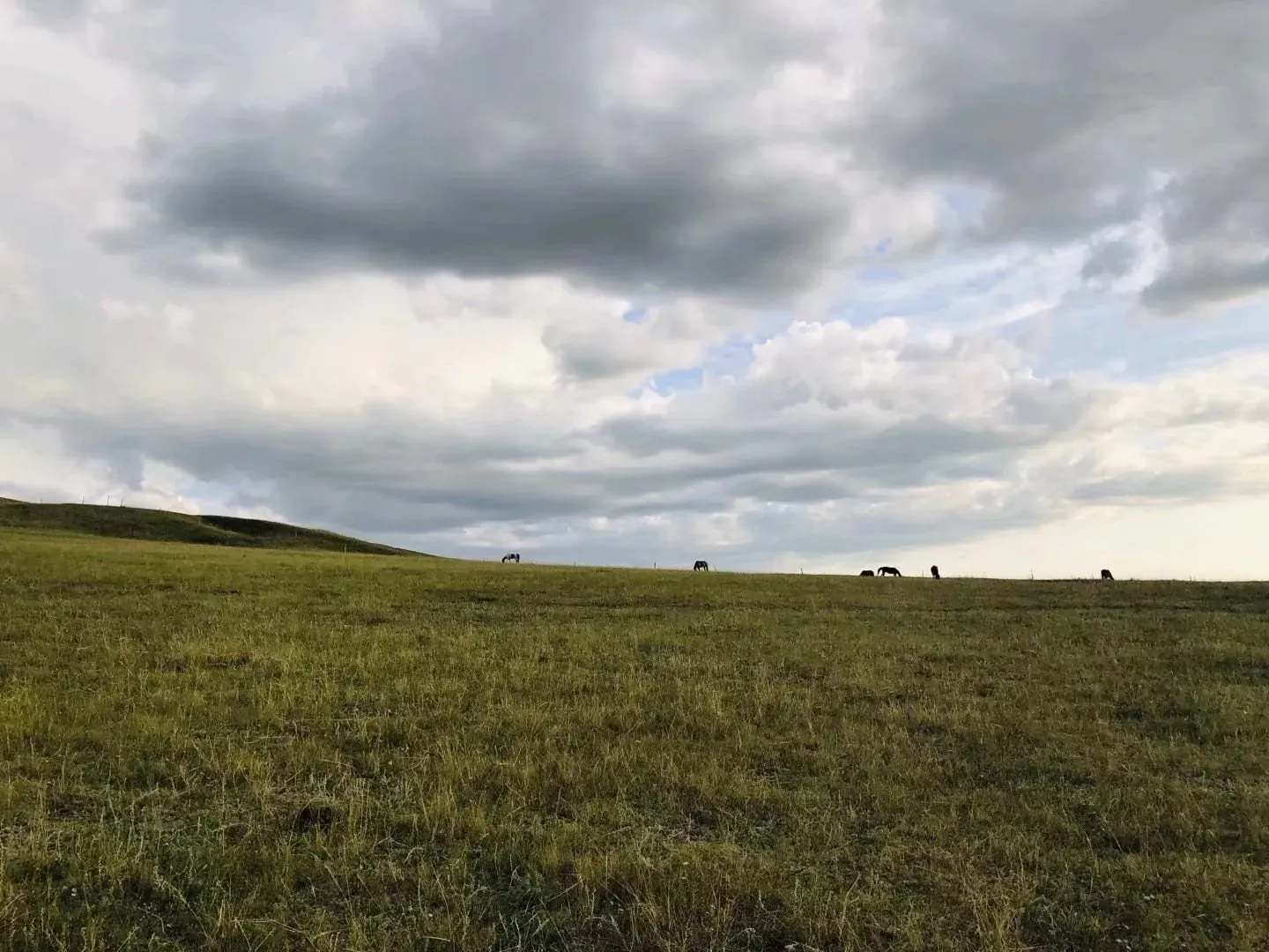 Inner Mongolia