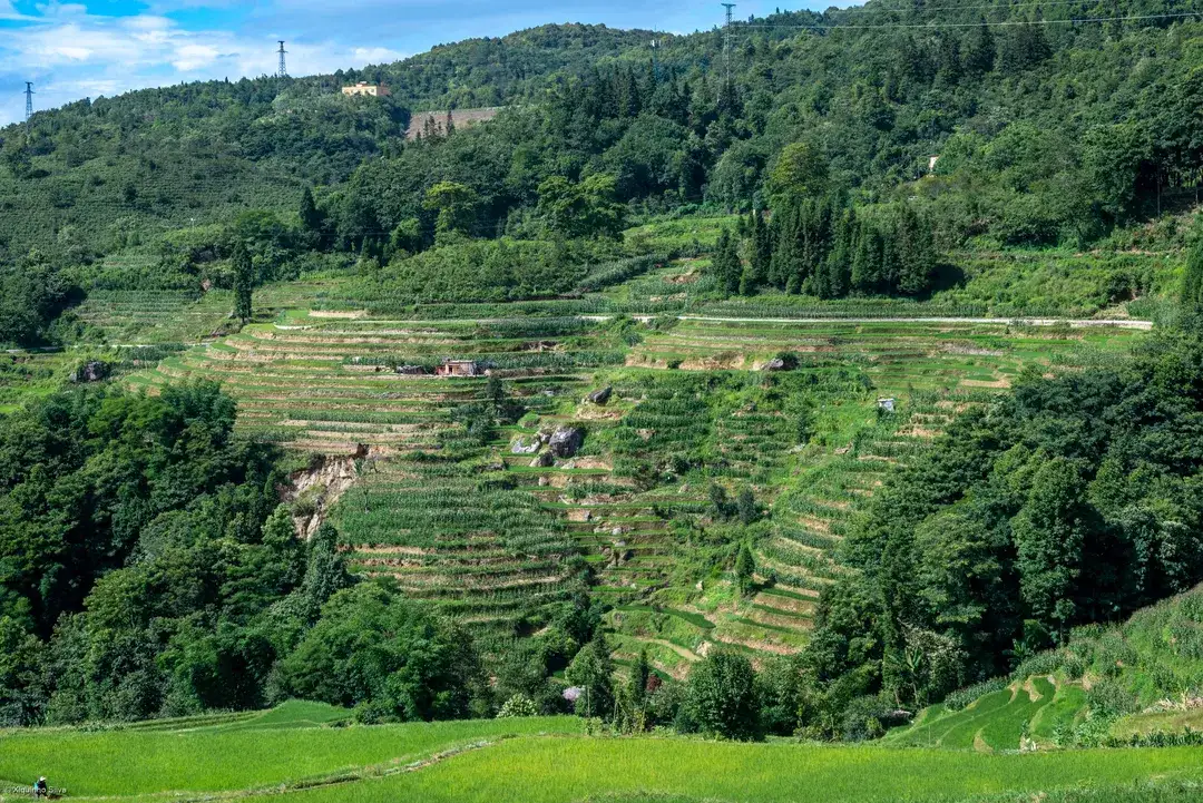 honghe