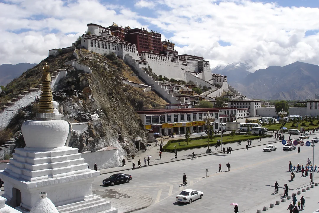 lhasa
