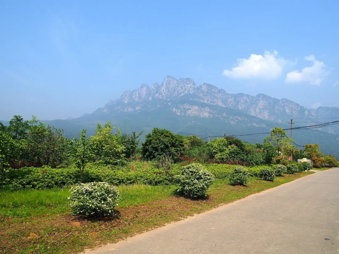 The Five Old Men peaks rising above the plain, their saw-tooth crest over orchards and a country road